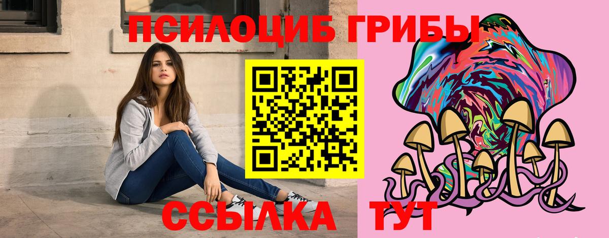 Псилоцибиновые грибы мицелий  Псилоцибиновые грибы GOLDEN TEACHER  что такое   Вход с VPN  Гатчина 