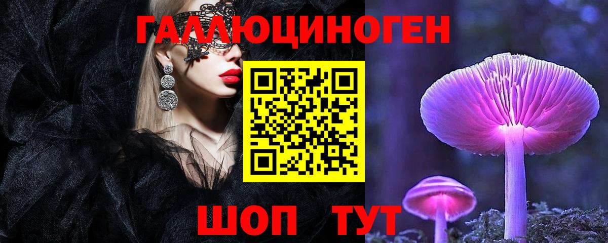Псилоцибиновые грибы Cubensis Гатчина